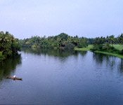 Manimala river